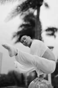 達人秀倒立舞者、柔術(shù)達人